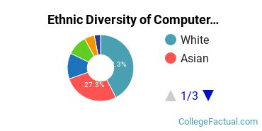 Ethnic Diversity of Computer & Information Sciences Majors at DePaul University