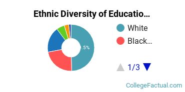 Ethnic Diversity of Education Majors at DePaul University