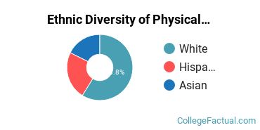 Ethnic Diversity of Physical Sciences Majors at DePaul University