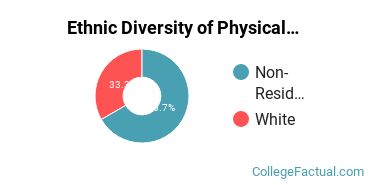 Ethnic Diversity of Physical Sciences Majors at DePaul University