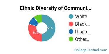Ethnic Diversity of Communication & Journalism Majors at DeVry University - Illinois