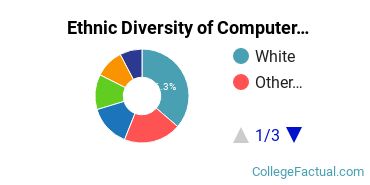 Ethnic Diversity of Computer & Information Sciences Majors at DeVry University - Illinois