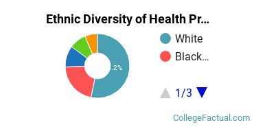 Ethnic Diversity of Health Professions Majors at DeVry University - Illinois