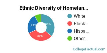 Ethnic Diversity of Homeland Security, Law Enforcement & Firefighting Majors at DeVry University - Illinois