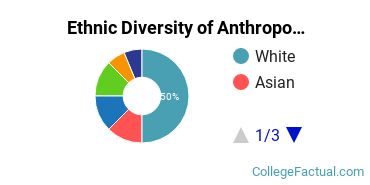 Ethnic Diversity of Anthropology Majors at Duke University