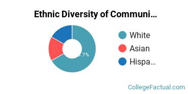 Ethnic Diversity of Communications Technologies & Support Majors at Dunwoody College of Technology