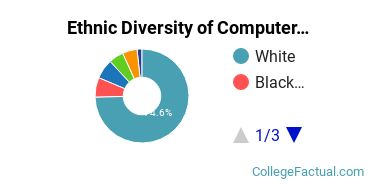 Ethnic Diversity of Computer & Information Sciences Majors at Duquesne University