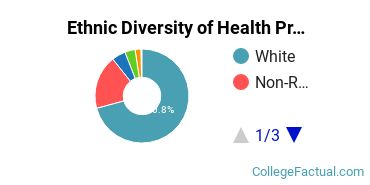 Ethnic Diversity of Health Professions Majors at Duquesne University