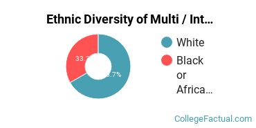 Ethnic Diversity of Multi / Interdisciplinary Studies Majors at Duquesne University