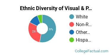 Ethnic Diversity of Visual & Performing Arts Majors at Duquesne University
