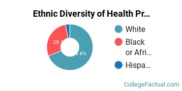 Ethnic Diversity of Health Professions Majors at East Arkansas Community College