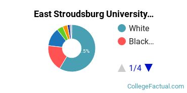 East Stroudsburg University Undergraduate Racial-Ethnic Diversity Pie Chart