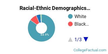 Racial-Ethnic Demographics of East Stroudsburg University Faculty