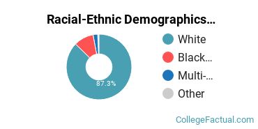 Racial-Ethnic Demographics of East Texas Baptist University Faculty