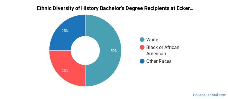 Ethnic diversity of History majors at Eckerd College