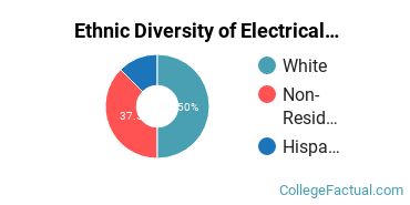 Ethnic Diversity of Electrical Engineering Majors at Embry Riddle Aeronautical University - Daytona Beach