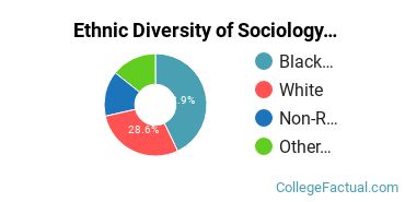Ethnic Diversity of Sociology Majors at Emory University