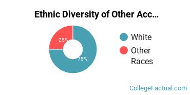 Ethnic Diversity of Other Accounting and Related Services Majors at Evangel University