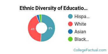 Ethnic Diversity of Education Majors at Evangel University