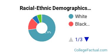 Racial-Ethnic Demographics of Everglades U Faculty
