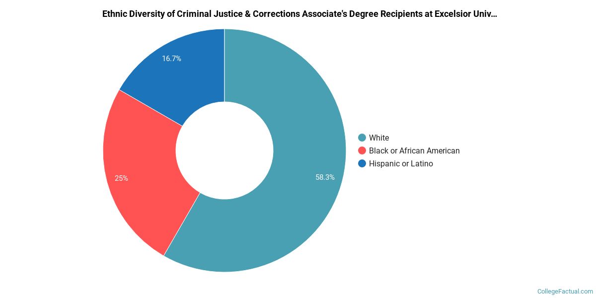 The Criminal Justice Major At Excelsior College College Factual