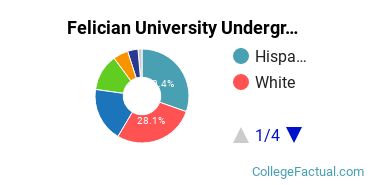 Felician Undergraduate Racial-Ethnic Diversity Pie Chart