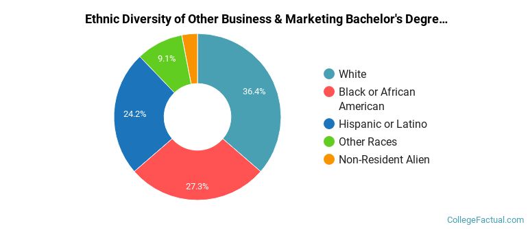 Ethnic diversity of Other Business & Marketing majors at Five Towns College