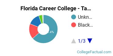 Florida Career College - Tampa Undergraduate Racial-Ethnic Diversity Pie Chart
