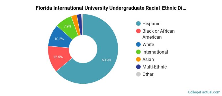 FLORIDA INTERNATIONAL UNIVERSITY STUDENT DEMOGRAPHICS visual data 3