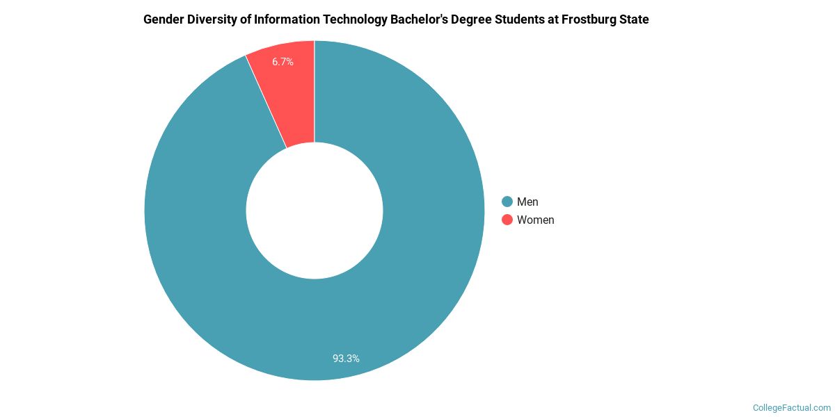The IT Major at Frostburg State University