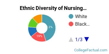 Ethnic Diversity of Nursing Majors at George Mason University