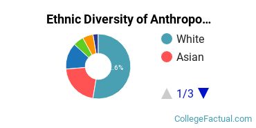Ethnic Diversity of Anthropology Majors at George Washington University