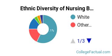 Ethnic Diversity of Nursing Majors at Georgetown University