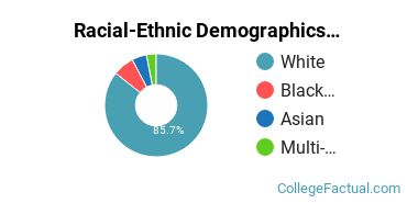 Racial-Ethnic Demographics of Hampshire Faculty