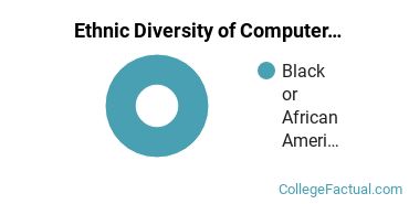 Ethnic Diversity of Internet Technology Majors at Herzing University - Atlanta
