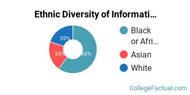Ethnic Diversity of Information Technology Majors at Herzing University - Atlanta