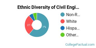 Ethnic Diversity of Civil Engineering Majors at Illinois Institute of Technology