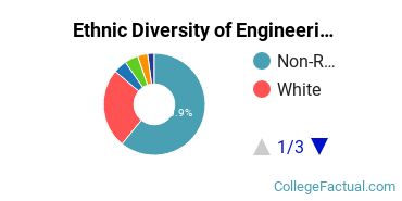 Ethnic Diversity of Engineering Majors at Illinois Institute of Technology