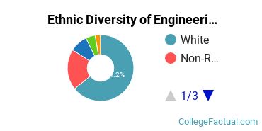 Ethnic Diversity of Engineering Technologies Majors at Indiana State University