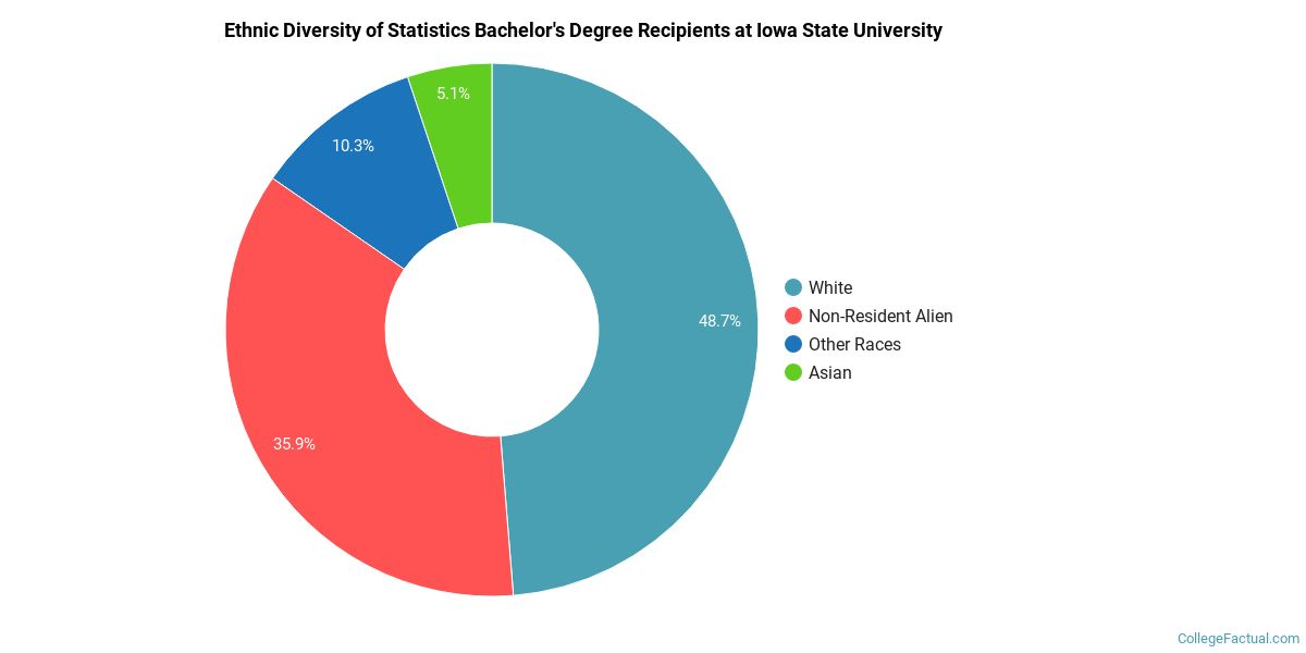 The Stats Major at Iowa State University