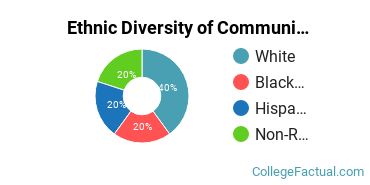 Ethnic Diversity of Communication & Journalism Majors at Ithaca College