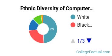 Ethnic Diversity of Computer & Information Sciences Majors at Kaplan University - Davenport Campus