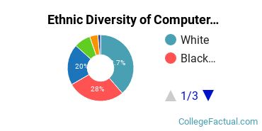 Ethnic Diversity of Computer & Information Sciences Majors at Kaplan University - Davenport Campus