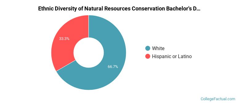 Ethnic diversity of Natural Resources Conservation majors at Keystone College