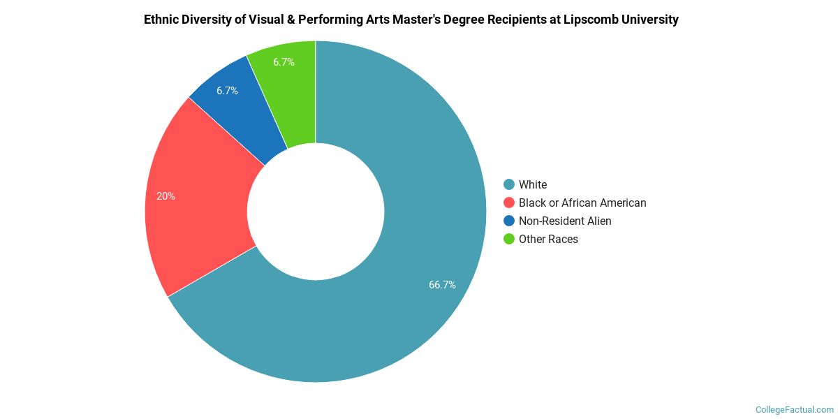 The Visual & Performing Arts Major at University