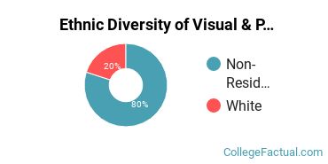 Ethnic Diversity of Visual & Performing Arts Majors at Marshall University