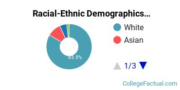 Racial-Ethnic Demographics of MIT Faculty