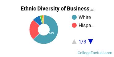 Ethnic Diversity of Business, Management & Marketing Majors at McMurry University