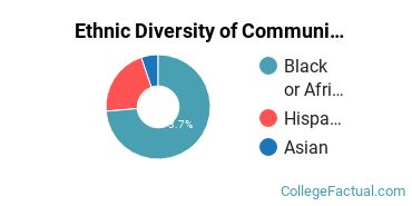 Ethnic Diversity of Community Organization & Advocacy Majors at Metropolitan College of New York