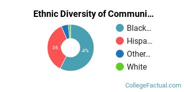 Ethnic Diversity of Community Organization & Advocacy Majors at Metropolitan College of New York
